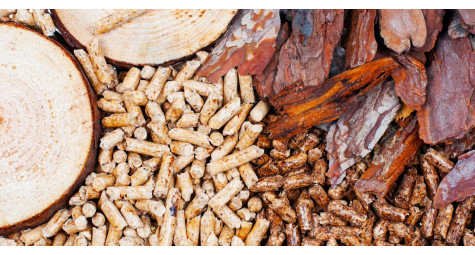 Holzpellets oder Brennholz: Vergleich der Heizleistung